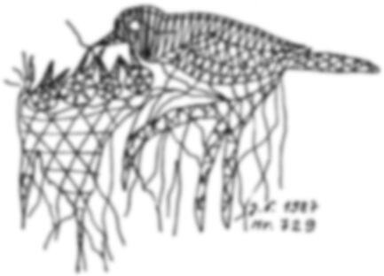 Bobbin lace pattern “Bird Mother Feeding” – overview