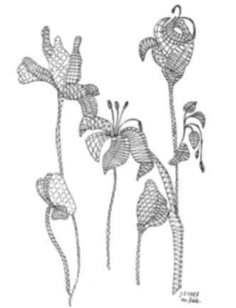 Klöppelbrief „Blumen“ – Übersicht