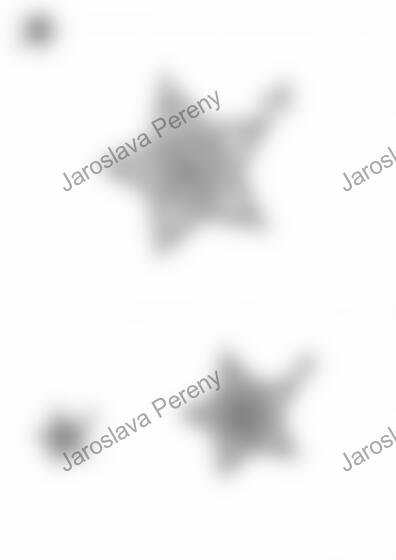 0783 Weihnachtsstern Podvinek „Vánoční hvězda“ (č. 0783)