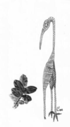 Klöppelbrief „Reiher“ (Nr. 0892) – Übersicht